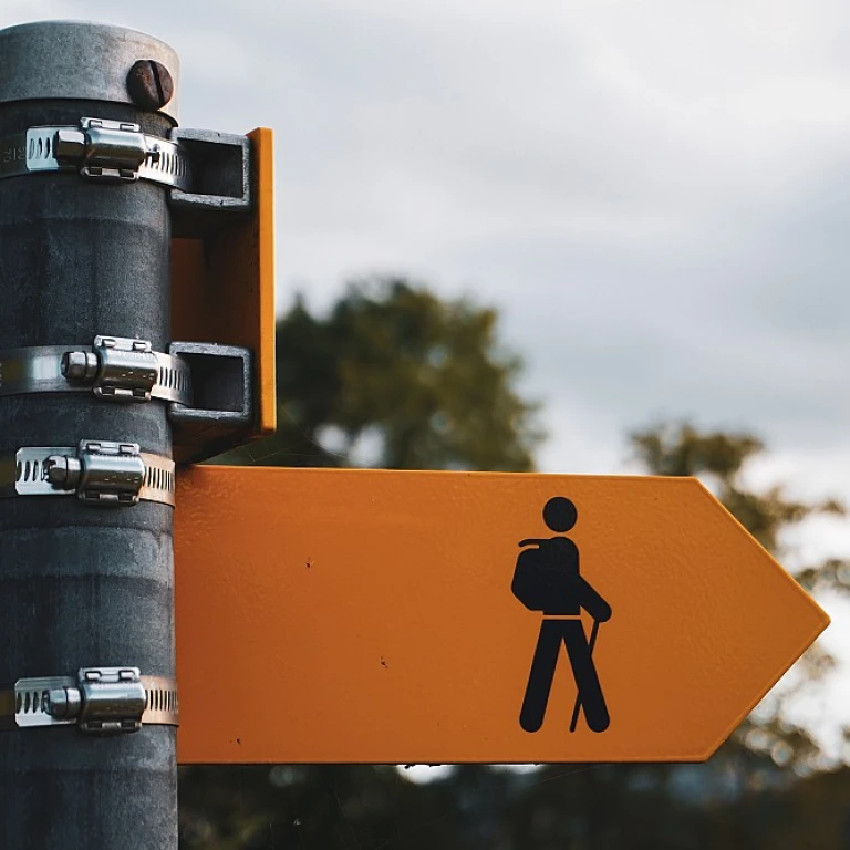 Enhancing Productivity with a Comprehensive Workforce Management Suite