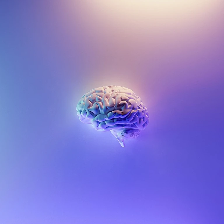 How APIs Transform Network Automation