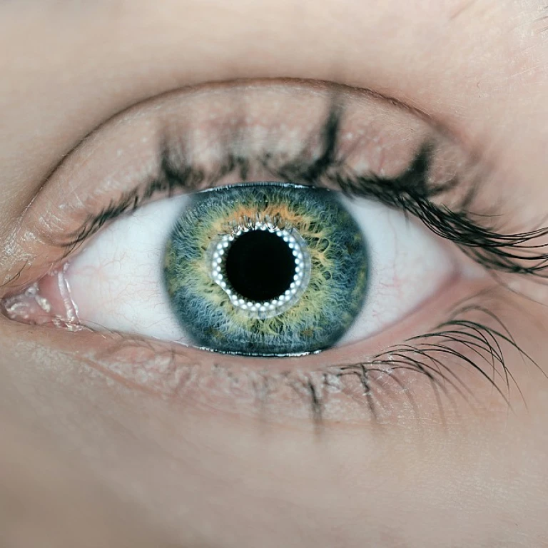 The Art of Crafting Efficient Copiers