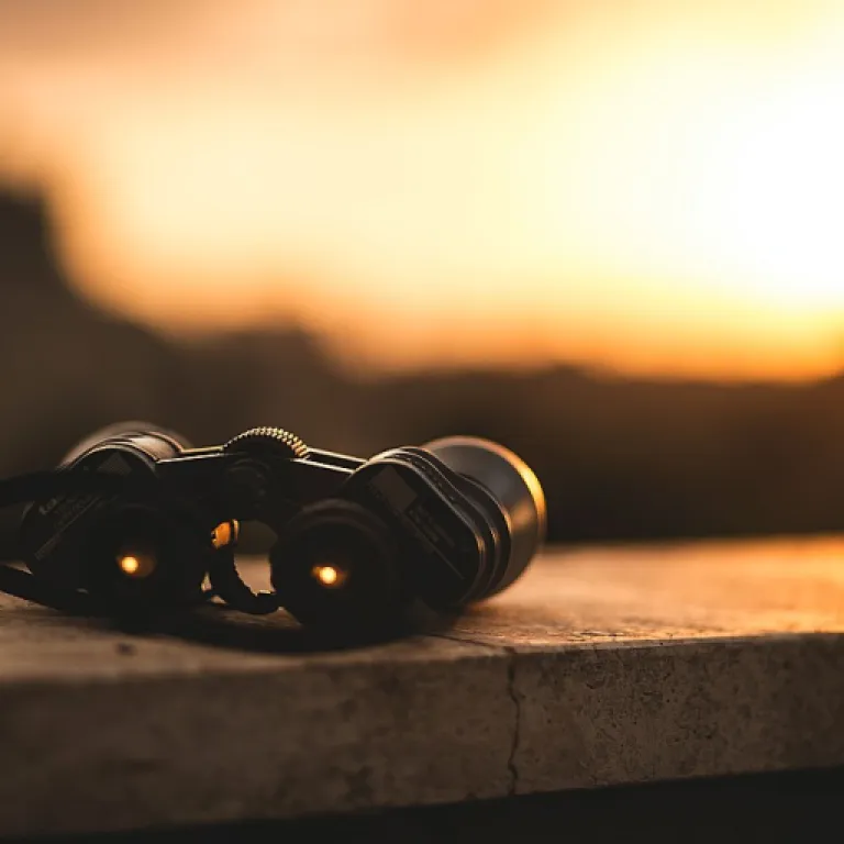 Streamlining Business Processes: From Procurement to Payment and Order to Cash