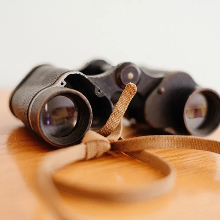 Understanding managed internet service: a guide for modern workplaces